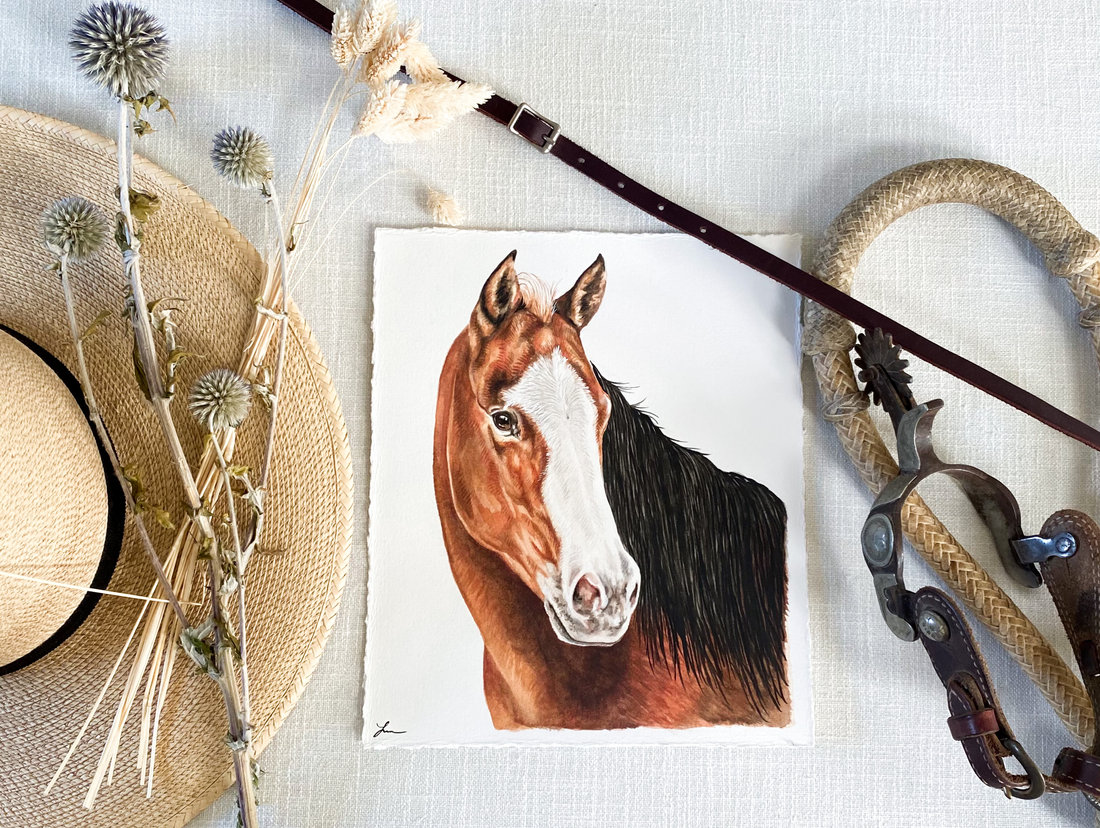 Watercolor portrait of a bay horse with a white blaze