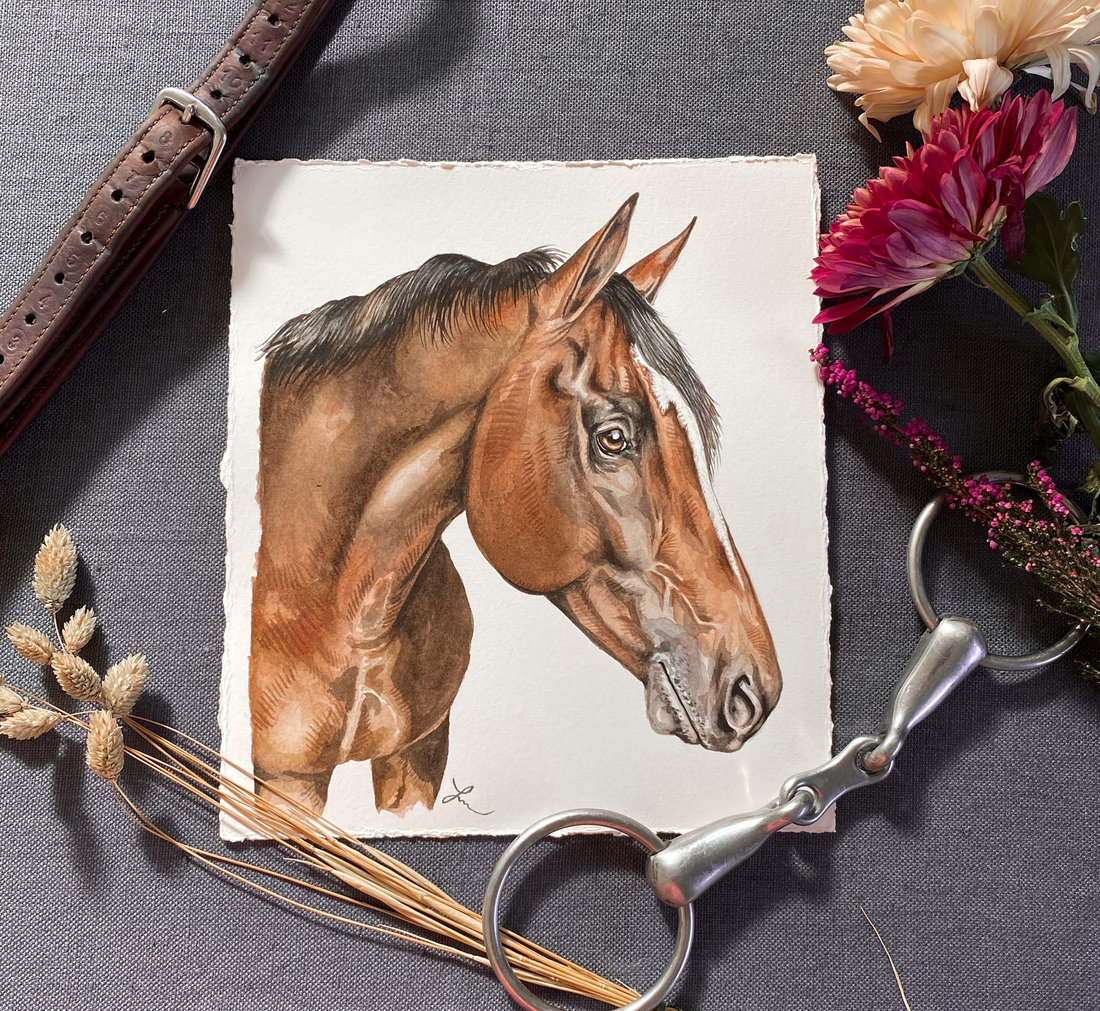 Watercolor portrait of a brown horse with a black mane