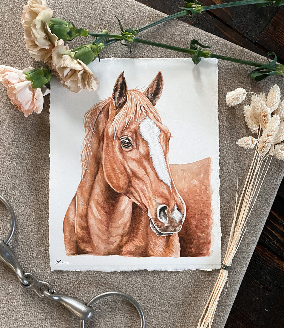 Watercolor portrait of a chestnut horse with a white blaze