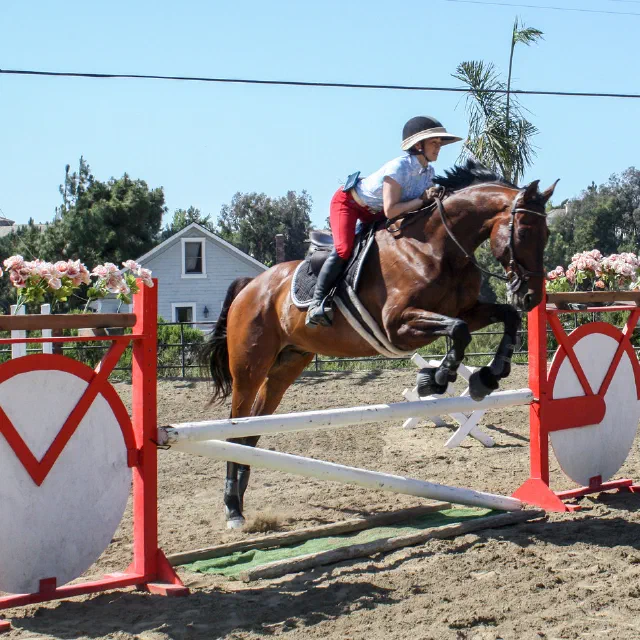 Saltwater Equestrian training photo