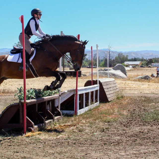 Saltwater Equestrian training photo