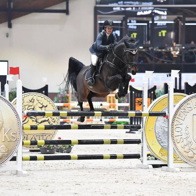 Saltwater Equestrian training photo