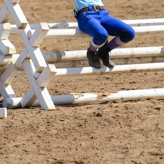 Saltwater Equestrian training photo