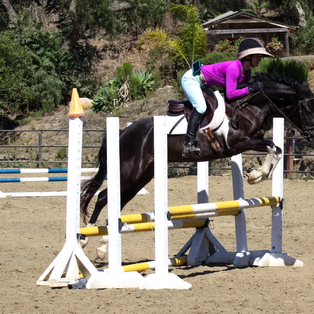 Saltwater Equestrian training photo