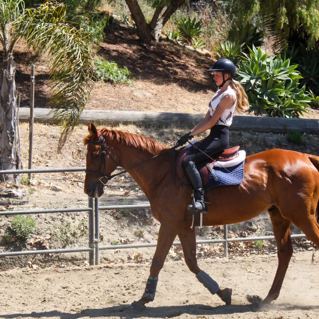 Saltwater Equestrian training photo
