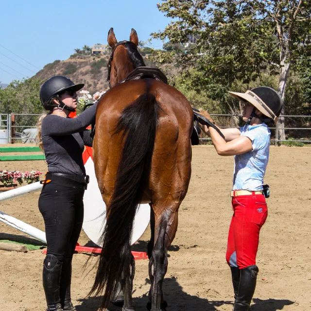 Saltwater Equestrian training photo