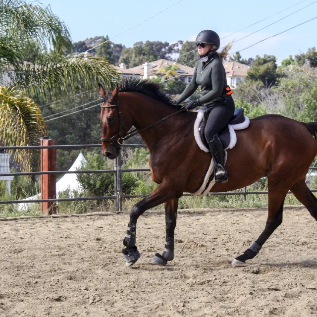 Saltwater Equestrian training photo