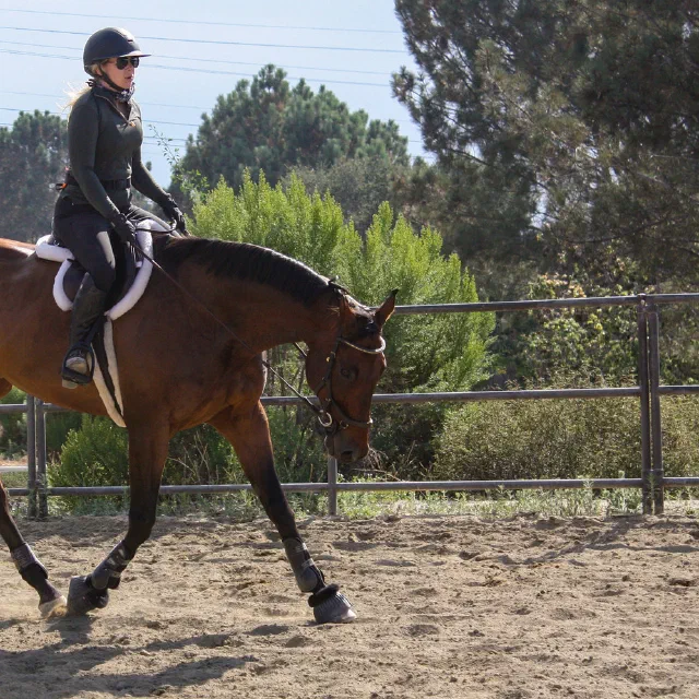 Saltwater Equestrian training photo