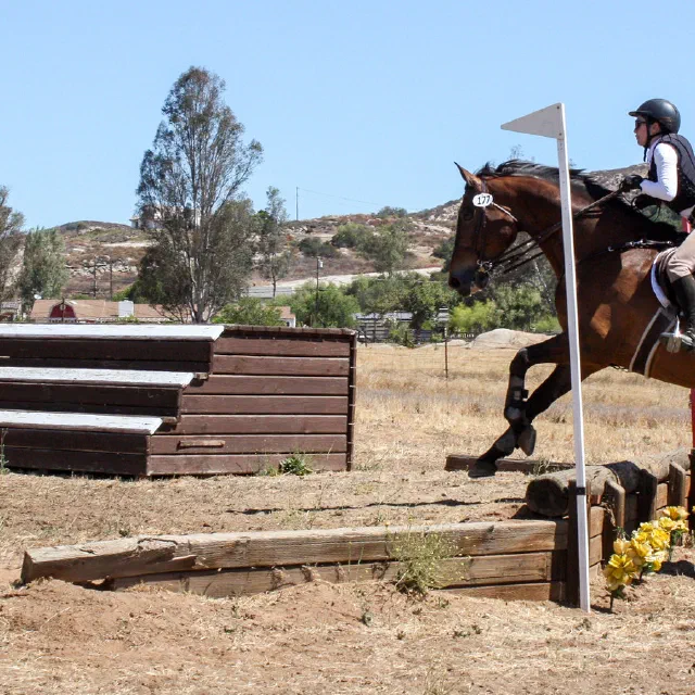 Saltwater Equestrian training photo