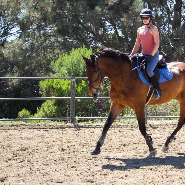Saltwater Equestrian training photo