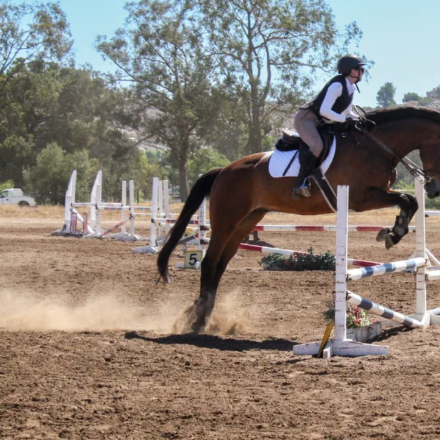Saltwater Equestrian training photo