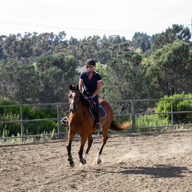Saltwater Equestrian training photo