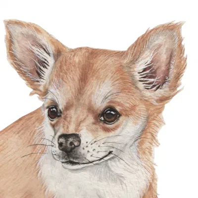 Custom watercolor pet portrait