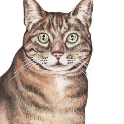 Custom watercolor pet portrait