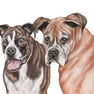 Custom watercolor pet portrait