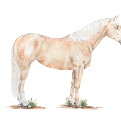 Custom watercolor pet portrait