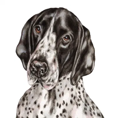 Custom watercolor pet portrait