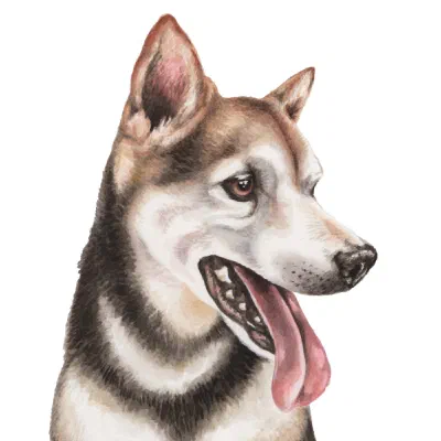 Custom watercolor pet portrait