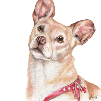 Custom watercolor pet portrait