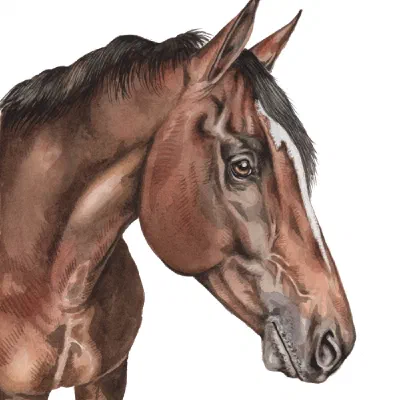 Custom watercolor pet portrait
