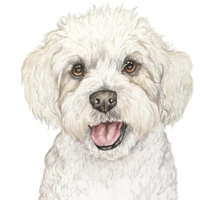 Custom watercolor pet portrait