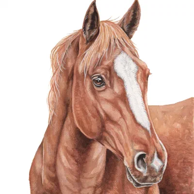 Custom watercolor pet portrait