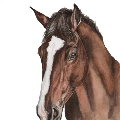 Custom watercolor pet portrait