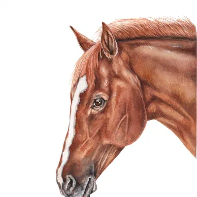 Custom watercolor pet portrait