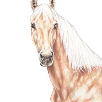 Custom watercolor pet portrait