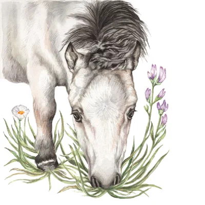 Custom watercolor pet portrait