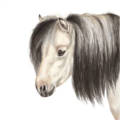 Custom watercolor pet portrait