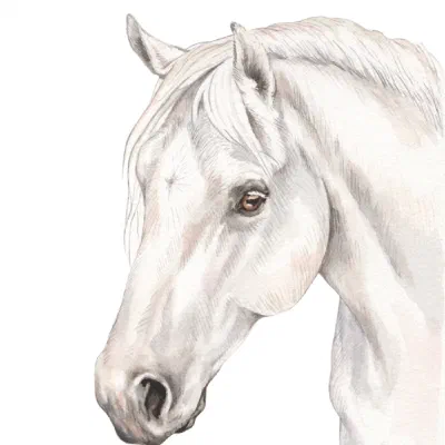 Custom watercolor pet portrait