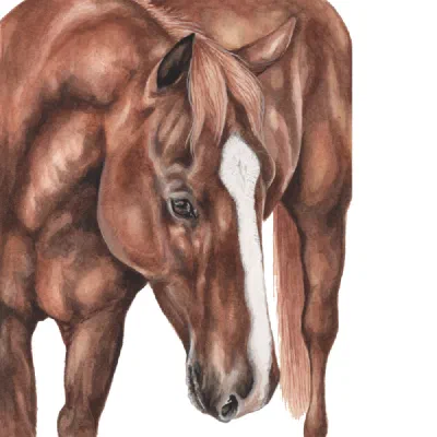 Custom watercolor pet portrait