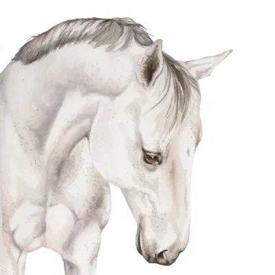 Custom watercolor pet portrait