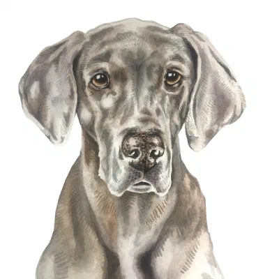 Custom watercolor pet portrait