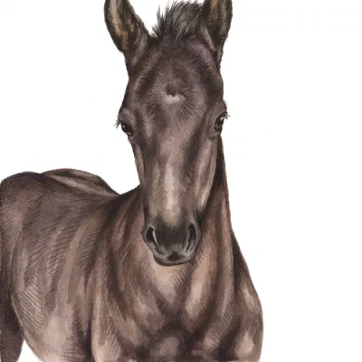 Custom watercolor pet portrait