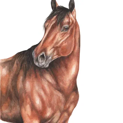 Custom watercolor pet portrait