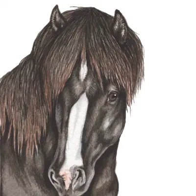 Custom watercolor pet portrait