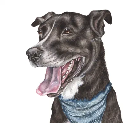 Custom watercolor pet portrait