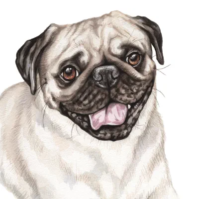Custom watercolor pet portrait