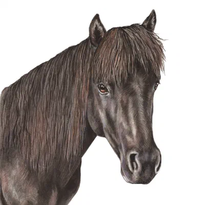 Custom watercolor pet portrait