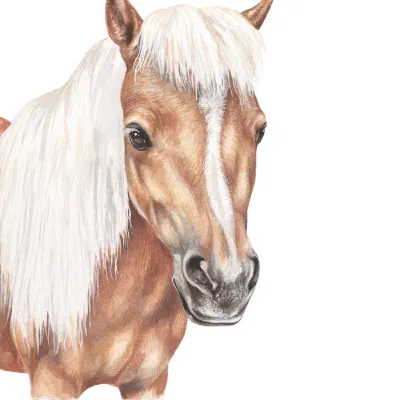 Custom watercolor pet portrait