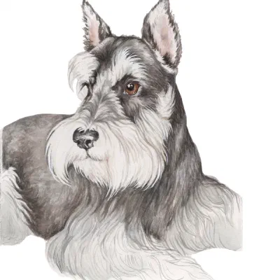 Custom watercolor pet portrait