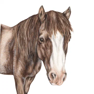 Custom watercolor pet portrait