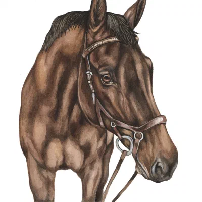 Custom watercolor pet portrait