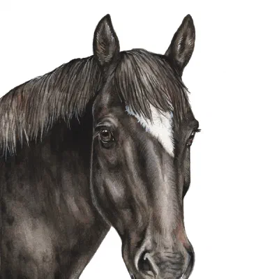 Custom watercolor pet portrait
