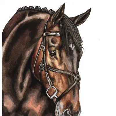 Custom watercolor pet portrait