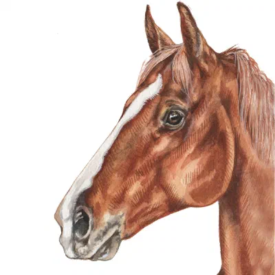 Custom watercolor pet portrait