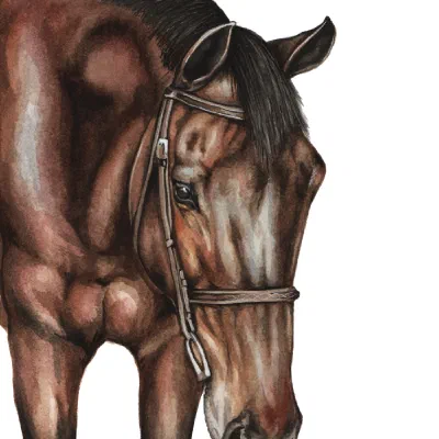 Custom watercolor pet portrait