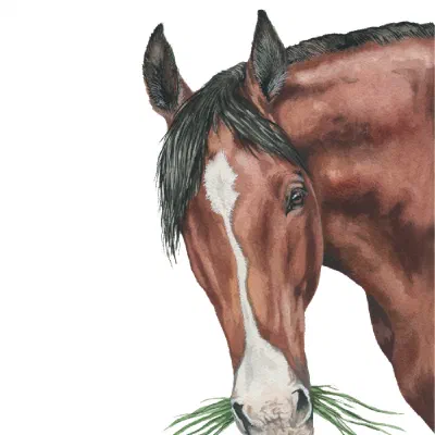 Custom watercolor pet portrait